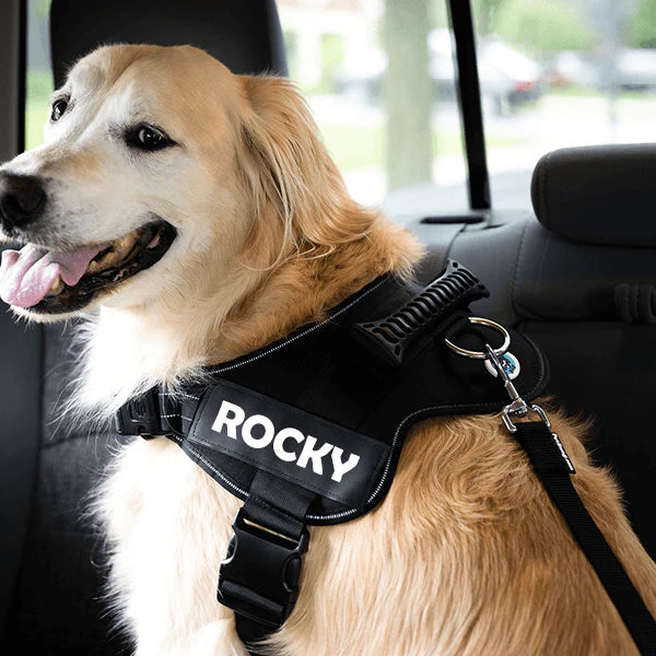 Pawhub Adjustable Pet Seat Belt