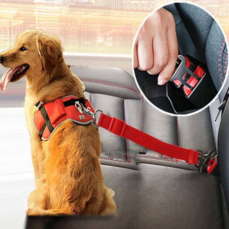Dog Safety Seat Belt